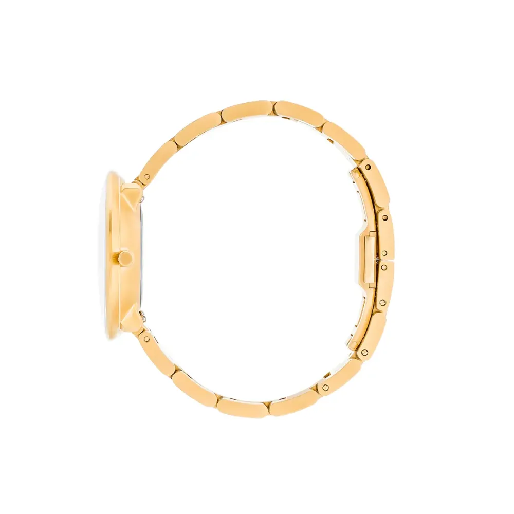 Arne Jacobsen Bankers 34mm 53109-1629 | Dame Dameure Med Lænke | Dameure I Gulddouble