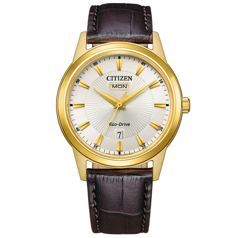 Citizen ure Citizen Eco-Drive AW0102-13A | Herreure Med Rem | Herreure I Gulddouble