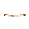 Daniel Wellington ure Daniel Wellington Classic armring DW00400003 | Armbånd