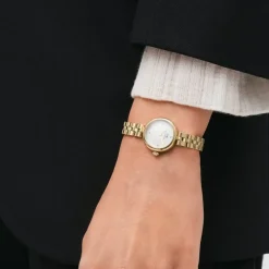 Daniel Wellington ure Daniel Wellington Elan 22mm DW00100715 | Dame Dameure Med Lænke | Dameure I Gulddouble