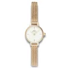 Daniel Wellington ure Daniel Wellington Petite Mini Evergold DW00100745 | Dame Dameure Med Lænke | Dameure I Gulddouble