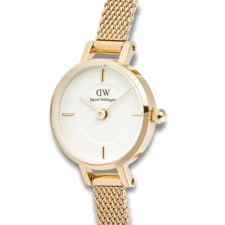 Daniel Wellington ure Daniel Wellington Petite Mini Evergold DW00100745 | Dame Dameure Med Lænke | Dameure I Gulddouble