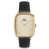 Daniel Wellington ure Daniel Wellington Vintage 36mm DW00100838 | Herreure Med Rem | Herreure I Gulddouble