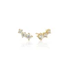 Sif Jakobs Jewellery Sif Jakobs Belluno Piccolo øreringe SJ-E42107-CZ-SG | Øreringe | Forgyldte Sølvsmykker