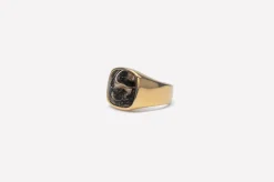 IX Studios smykker IX Studios Cushion Signet ring Turtle Agate DMN0282GDTA| Herresmykker|Ringe