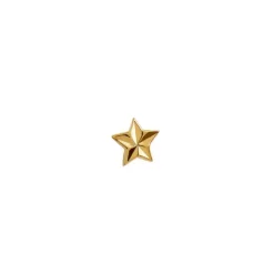 STINE A Jewelry Star Etoile ørering 1382-02| Forgyldte Sølvsmykker|Øreringe